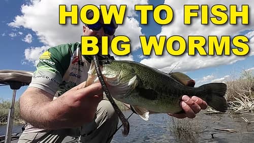How To Fish Big Worms (the Best Ways) | Bass Fishing Techniques