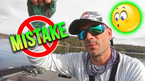 DON'T Make this MISTAKE Fishing for Fall & Winter Bass (JIGS + SWIMBAITS)