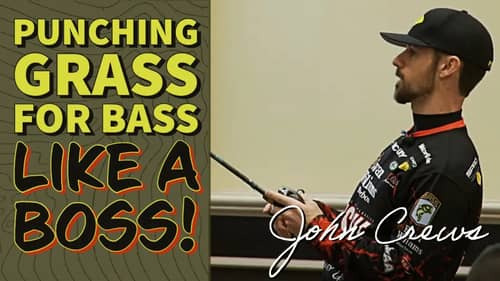 Spring Flat-Side Crankbaits & Flipping Creature Baits [Bassmaster Pro February Bass Fishing Tips]