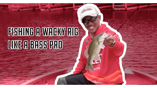 Learn to Fish Wacky Rigs Like a Pro