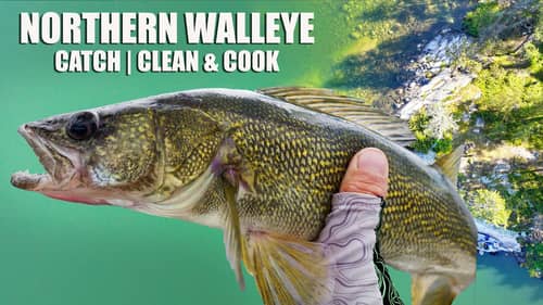 Fishing Swimbaits for Northern Walleye | Catch Clean & Cook