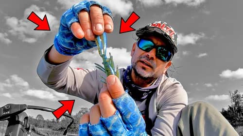 DON'T Ever FISH these Baits on a NED RIG for Bass!!!