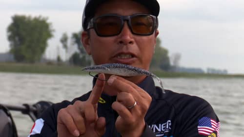 Secret Japanese Techniques For Summer Bass Fishing (These Work!) | Bass Fishing
