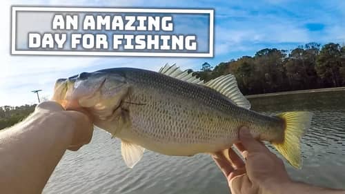 An Amazing Day For FISHING (VLOG)