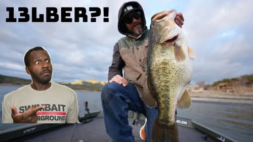 This Is The BEST Bass Fishing Video Ever Made That No One Is Talking About?! // Reaction Bites