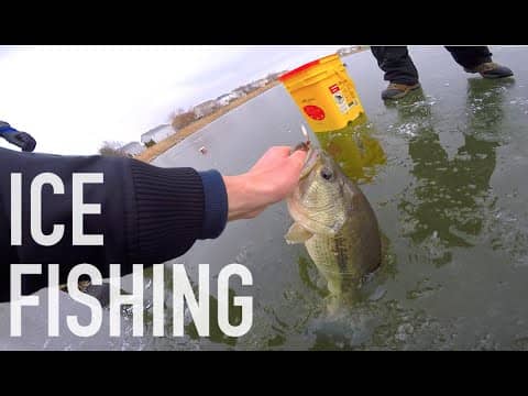 Giant Bass Through Clear Ice -- Ice Fishing