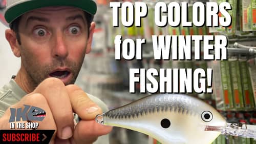 TOP COLORS for WINTER FISHING!