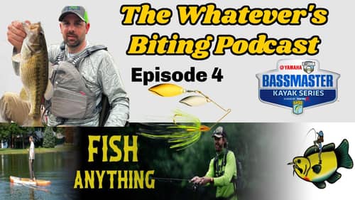 Spinnerbaits and Micro Dropshot!!  Episode 4 The Whatever's Biting Podcast
