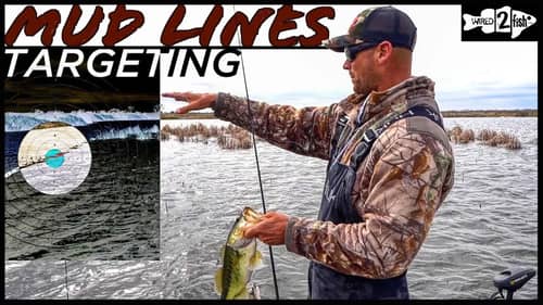 How to Find the Best Mud Lines for Bass Fishing