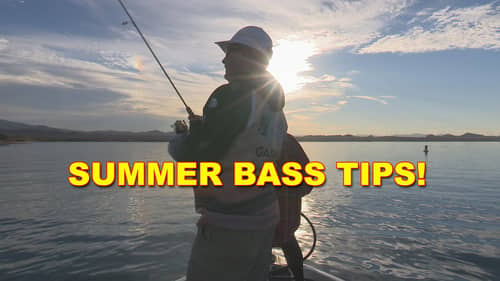 Best Summer Dropshot Tips for Bass Fishing | Bass Fishing