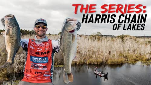 BMP FISHING: THE SERIES - HARRIS CHAIN OF LAKES