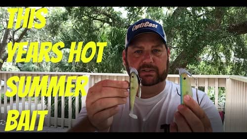 This Years Hottest Summer Bait!