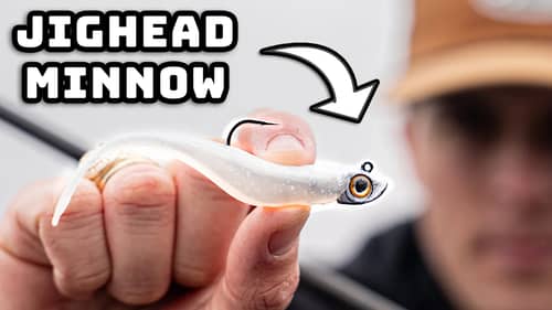 The Best Lure On The Planet Right Now... (Jighead Minnow Masterclass) - "Mid Strolling"
