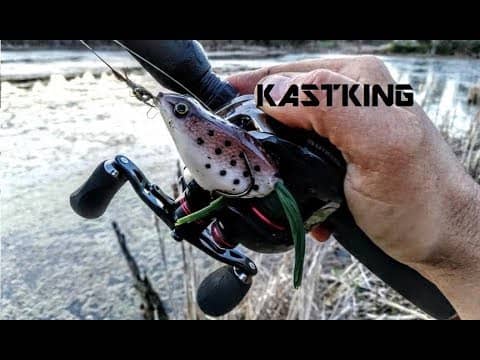 Is the KASTKING ROYALE LEGEND the "BEST" INEXPENSIVE REEL????? || MY THOUGHTS ||