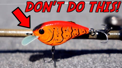 EVERY Fisherman NEEDS to Know This about Spring Crankbait Fishing!