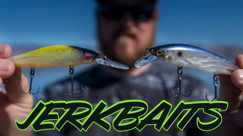 Fall Jerkbait Fishing: Everything You Need To Know