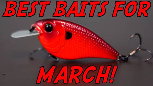 Catch MORE Bass With These MARCH Lures!