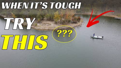 Stop Wasting Time When Fishing In The Fall | Fall Fishing Tips For More Success
