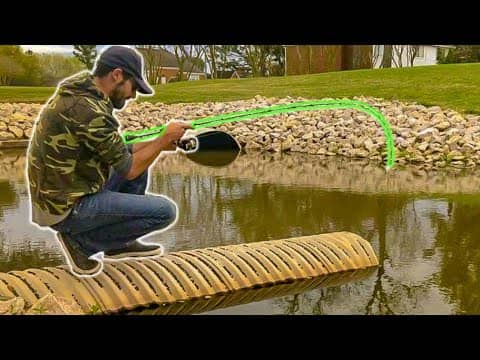 CATCHING FISH in a STREET MEDIAN!!