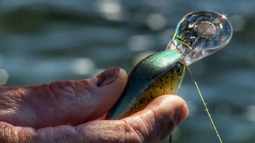 How to Fish Crankbaits in Grass Without Fouling