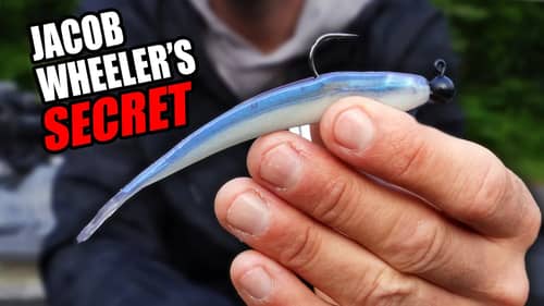 The SECRET'S Out!  Jacob Wheeler REVEALS Lure (STROLLING Update)