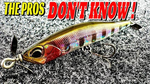 This NEW Spybait Will CHANGE How You FISH