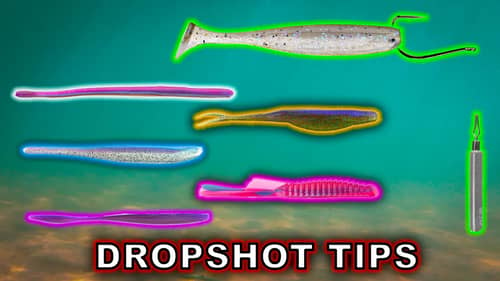 Dropshot Fishing For Bass - Beginner To Advanced Tricks!