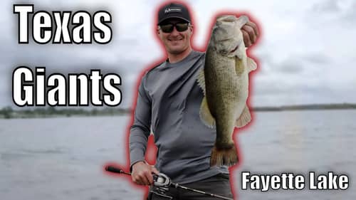 Catching GIANT Texas Bass in a WIND STORM! (Fayette Lake, Texas)