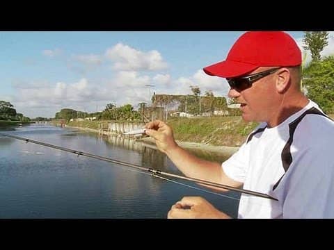 How To Fish the Devil's Horse Topwater Bait | Bass Fishing