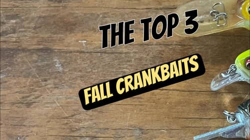 Why These 3 Crankbaits Outproduce All Others In November/ December