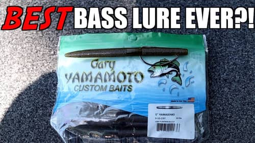 Is the Texas Rigged Senko the BEST Bass Fishing Lure of All Time?!