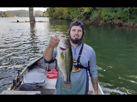 KILLER DAY on the FRENCH BROAD RIVER   || BLADED JIG Delivers ||