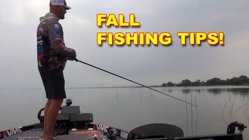 GMAN: Fall Bass Fishing Tips | Bass Fishing