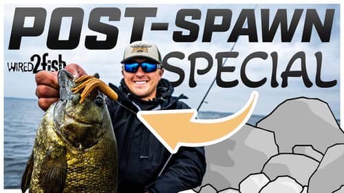 Dragging Tubes for Post-Spawn Smallmouth Bass