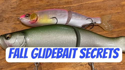 The Reason Most Anglers Suck At Glidebait Fishing…