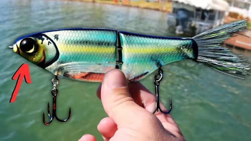 YOU Can't BEAT These 5 OCTOBER Lures