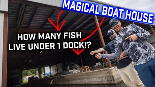 Finding a MAGICAL Boat Dock + Super Aggressive Frog Fish