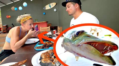Toothy TRASH Fish Taste Test w/ Wife!!! -Catch n' Cook- Barracuda Ceviche!