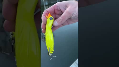 Swimbait Review: Rugged Thumbs RT Duck