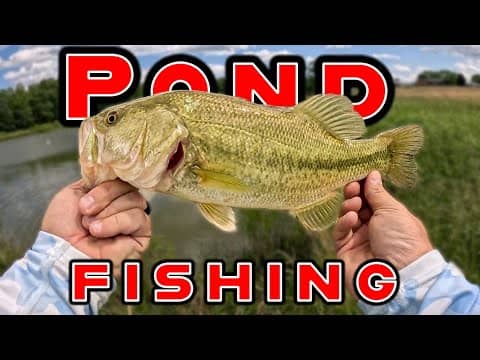 Tips To Catch More Fish While Pond Fishing!