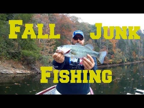 Fall Fishing -- Junk Fishing for Bass