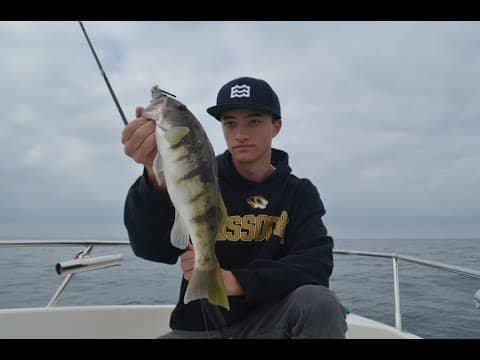Fishing The Beach For Saltwater Bass! Calico/Sand Bass and White Seabass