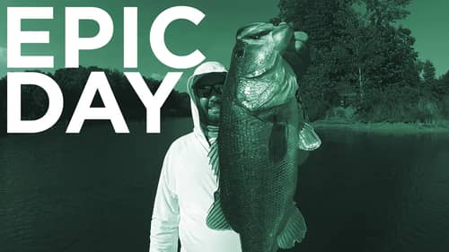 Epic Day of Bass Fishing - 40 Pound Limit