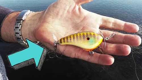 EXPENSIVE TOPWATER LURE ACTUALLY WORKS!?!?!?