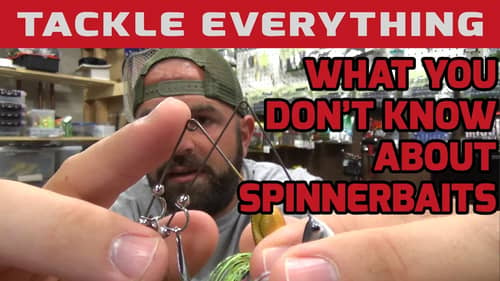 Picasso Spinnerbait Order, What You Don't Know About Spinnerbaits