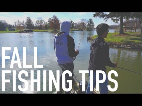 Fall Fishing Tips: 1Rod1ReelFishing & FTMW --Snapchat Questions