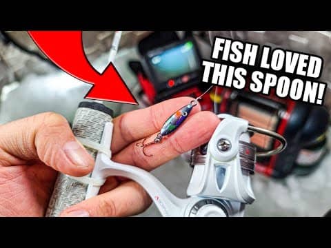 Best Spoon for Ice Fishing??? (Beginner Ice Fishing)