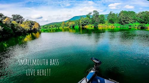 This MOUNTAIN RIVER Is LOADED With AGGRESSIVE Bass!! || Summer Bass Fishing