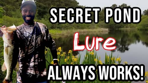 My Secret Pond Lure Always Works!