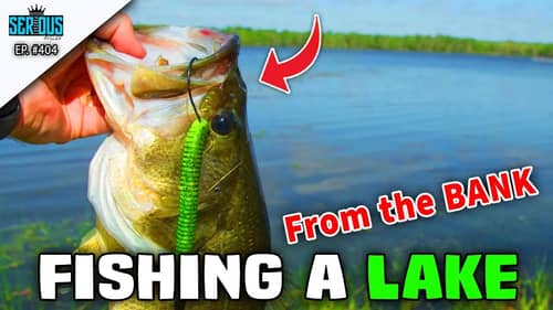 Use THESE Tips to Catch MORE Fish from the BANK!